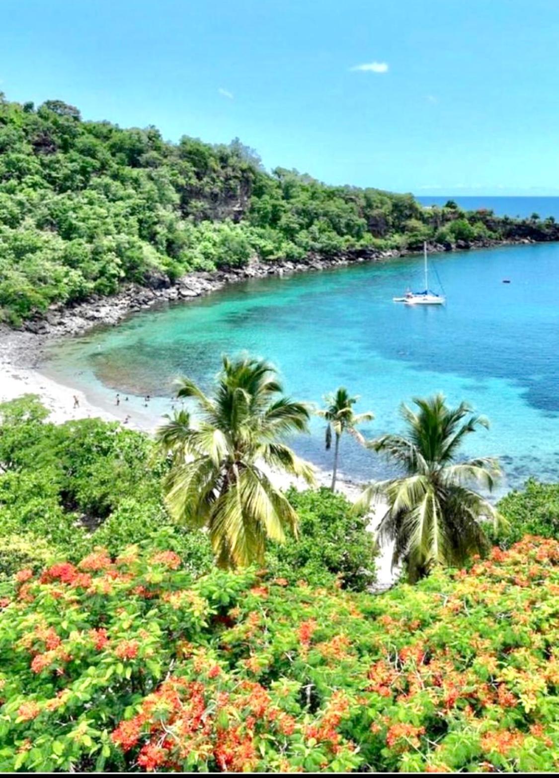 Location Gite Bungalow A 70M De La Plage Bouillante Extérieur photo